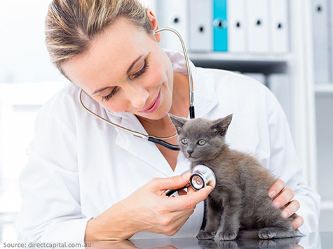 Health Checkup @ Vet
